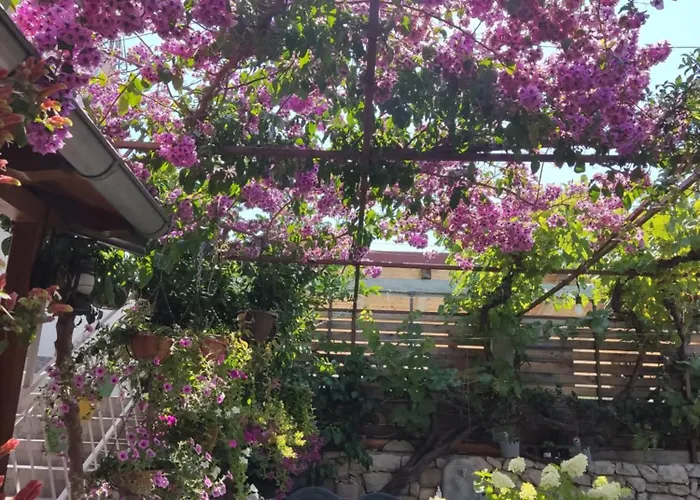 Dalmati House Hotel Brodarica  photo