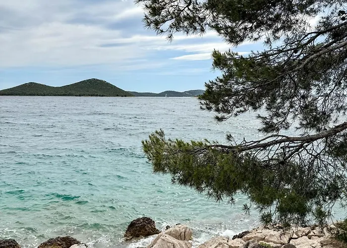 Lavanda Mobile Home Otok Arta Mala photo